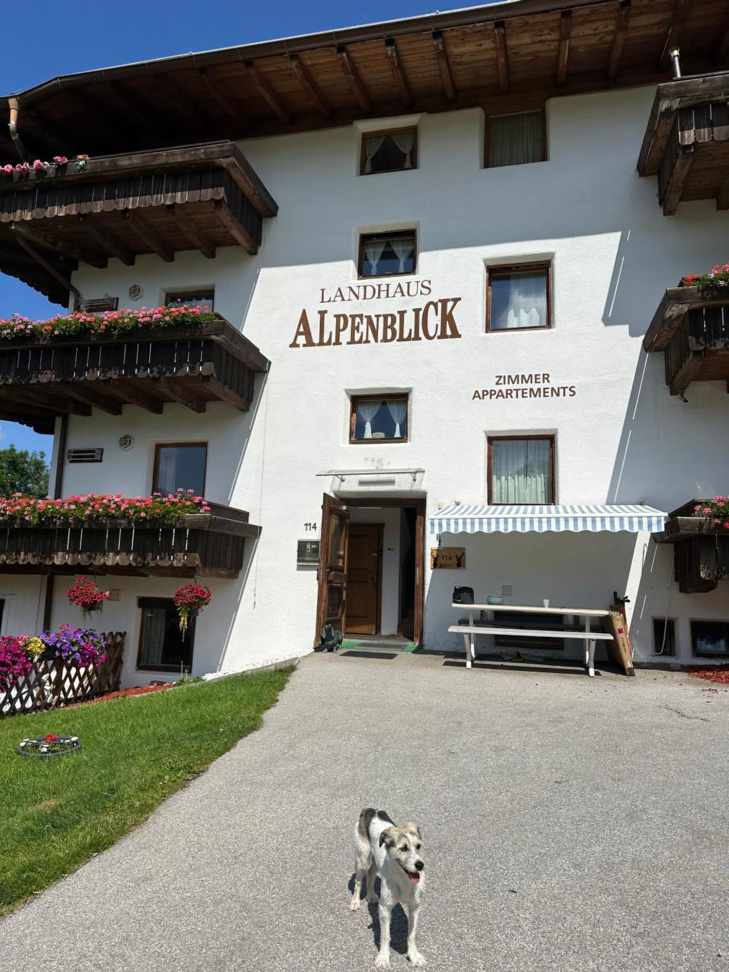 Landhaus Alpenblick Общайг Екстериор снимка